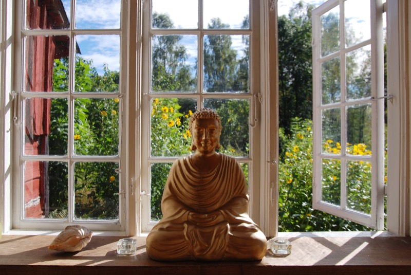 Meditation and holistic medicine weeks